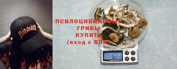 дживик Алзамай