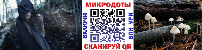где купить наркотик  Муром  Галлюциногенные грибы MAGIC MUSHROOMS 